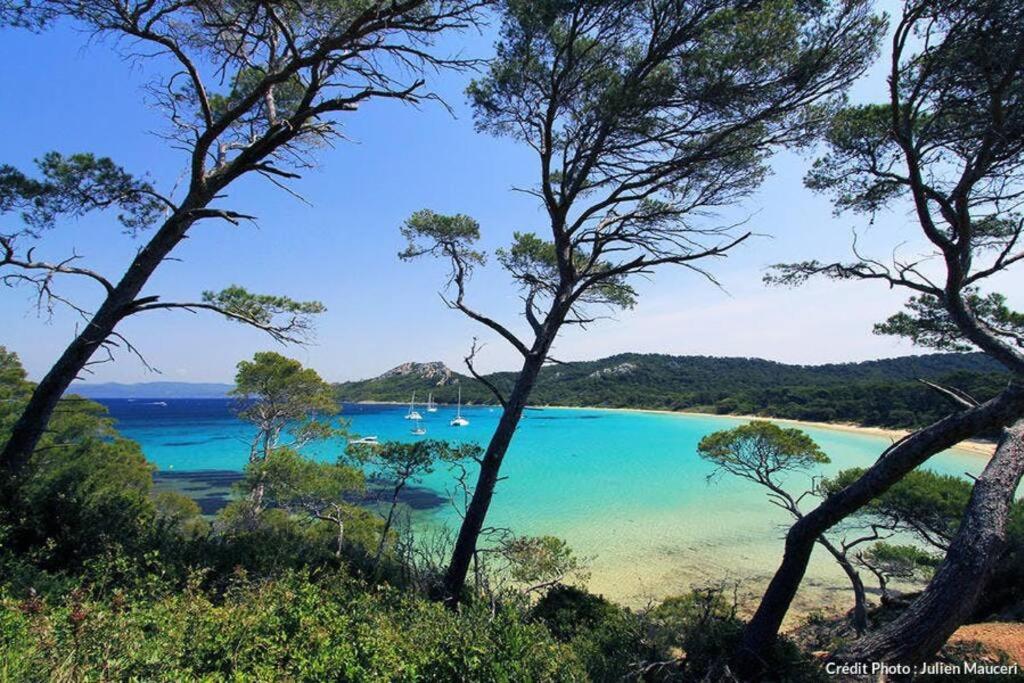Superbe Appartement - Terrasses - Clim - Parking Prepaye La Valette-du-Var Exteriör bild