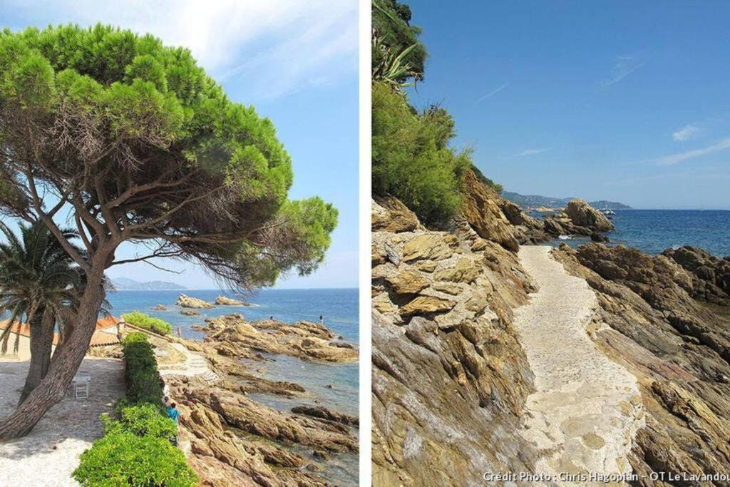 Superbe Appartement - Terrasses - Clim - Parking Prepaye La Valette-du-Var Exteriör bild