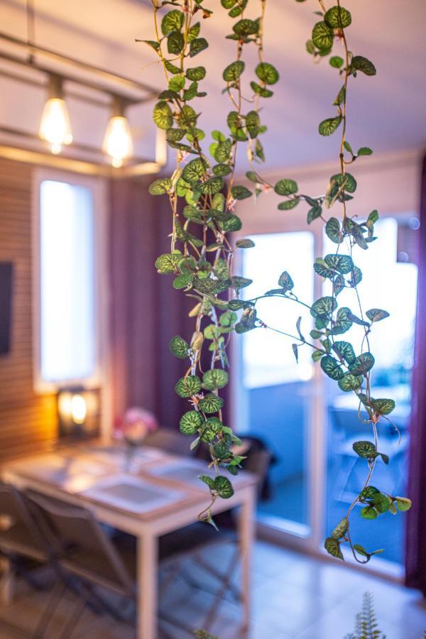 Superbe Appartement - Terrasses - Clim - Parking Prepaye La Valette-du-Var Exteriör bild